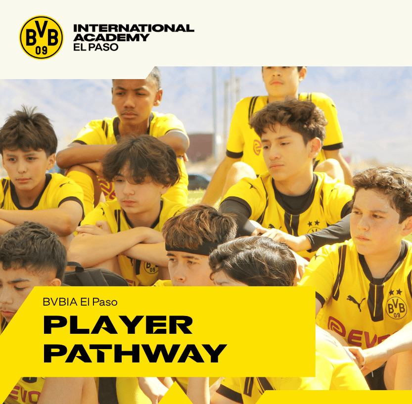The BVBIA PLAYER PATHWAY